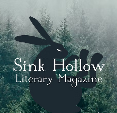 Sink Hollow latest issue