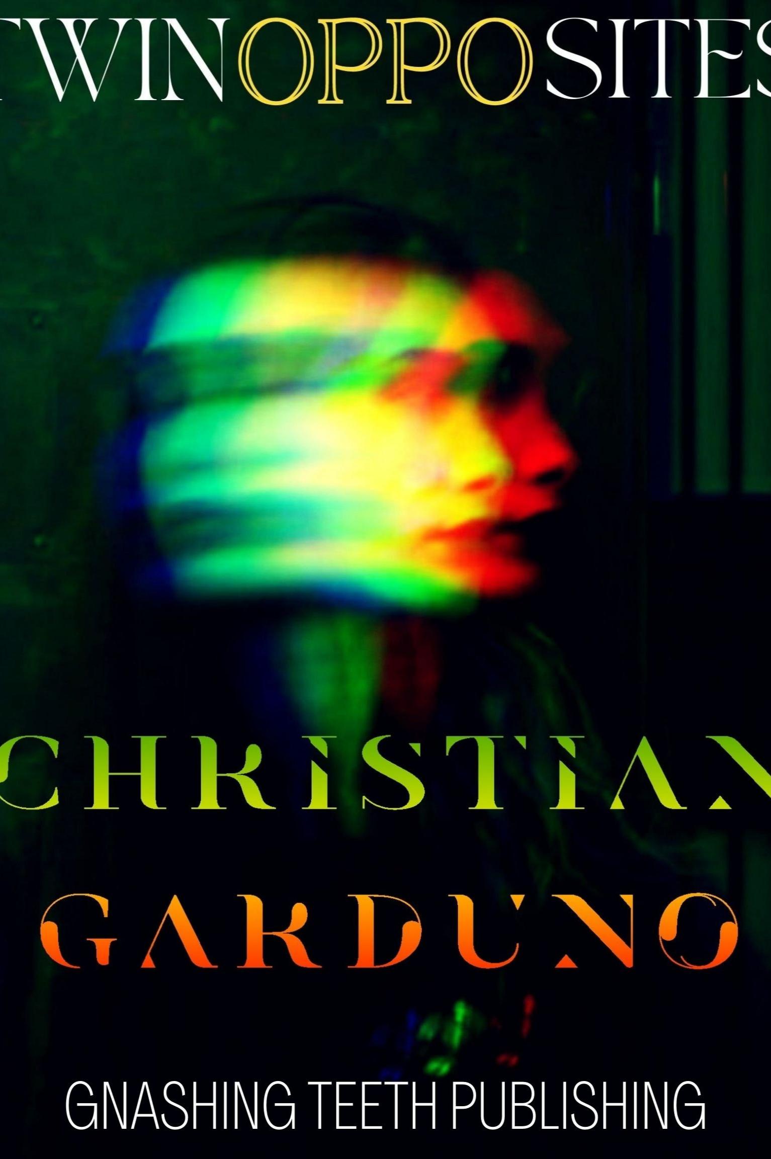 Book cover of Twin Opposites by Christian Garduno