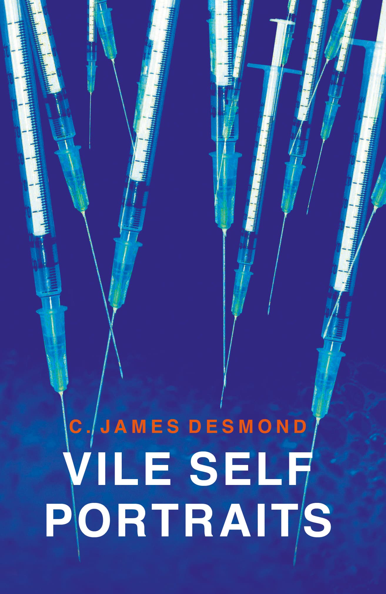 Book cover of VILE SELF PORTRAITS by C. James Desmond