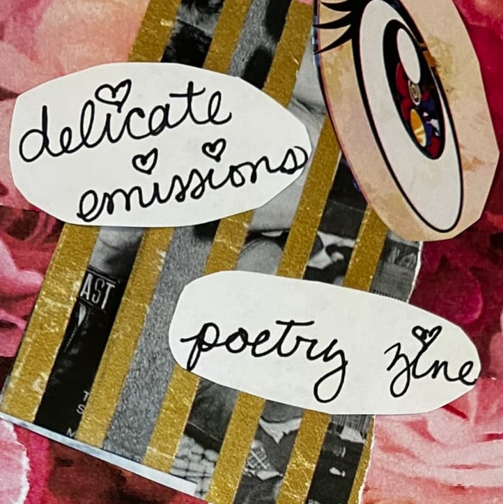 Cover of delicate emissions poetry zine