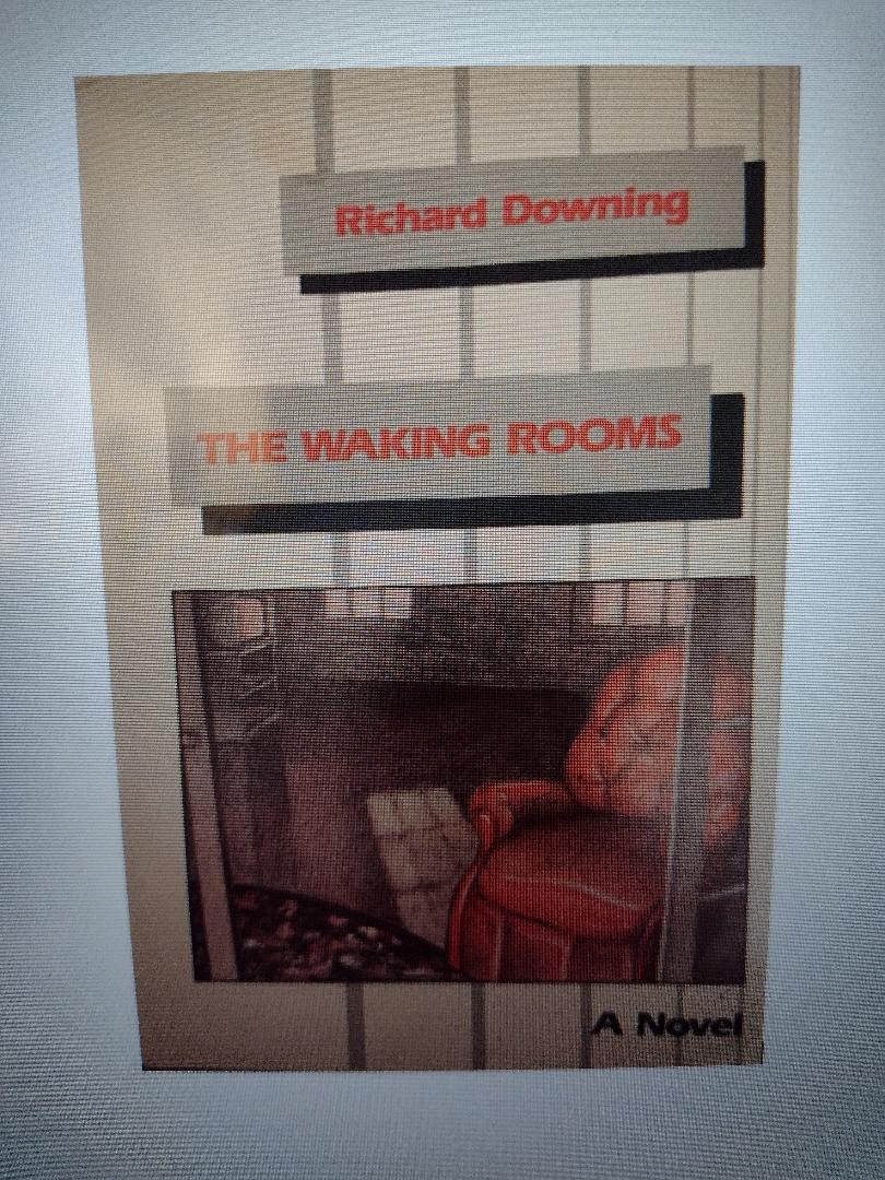 Book cover of The Waking Rooms by Richard Downing