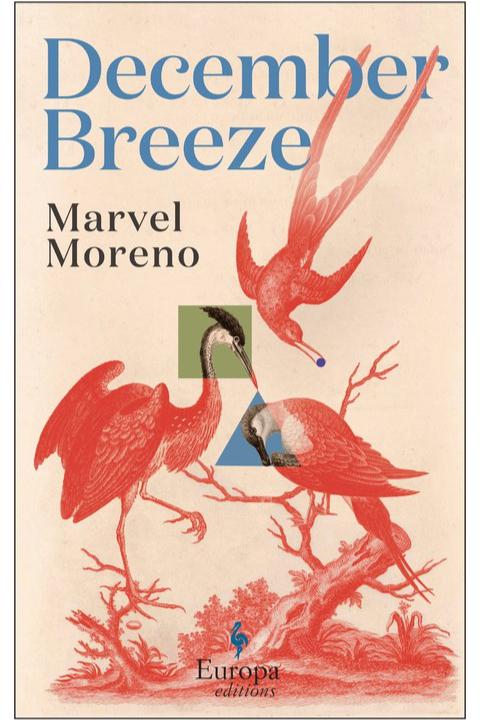 Book cover of December Breeze by Marvel Moreno by Charlie Coombe