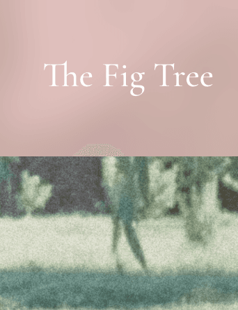 The Fig Tree latest issue