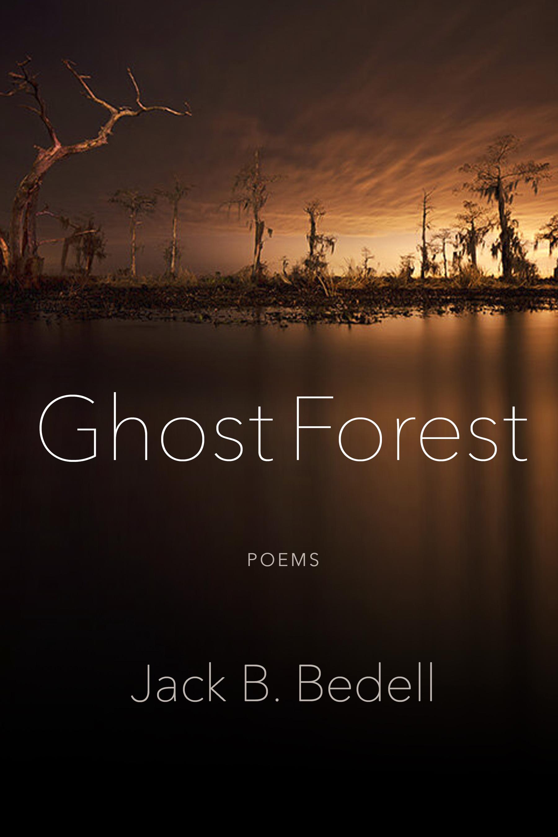 Book cover of Ghost Forest by jackbedell