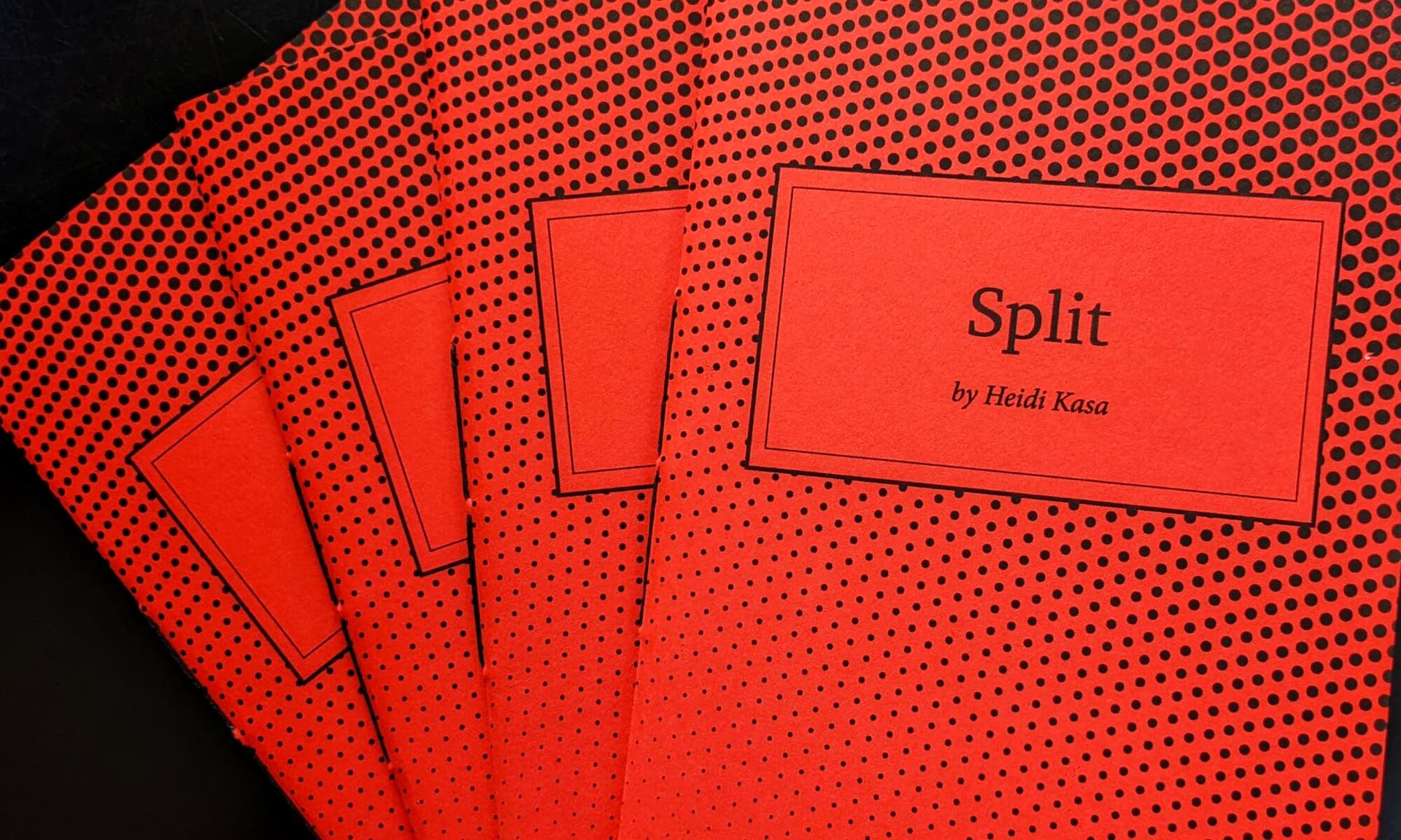 Book cover of Split by Heidi Kasa
