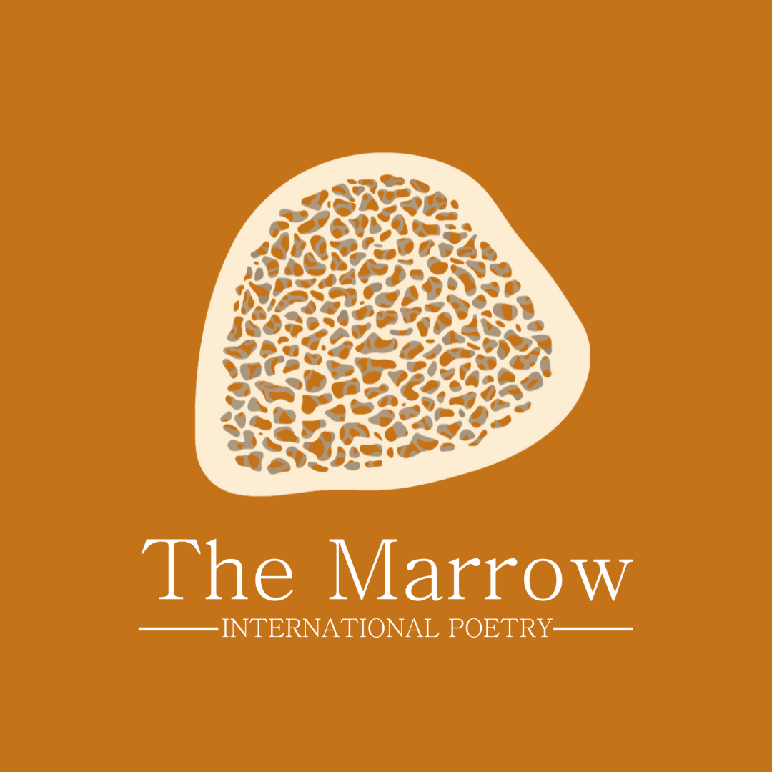 Cover of The Marrow International Poetry