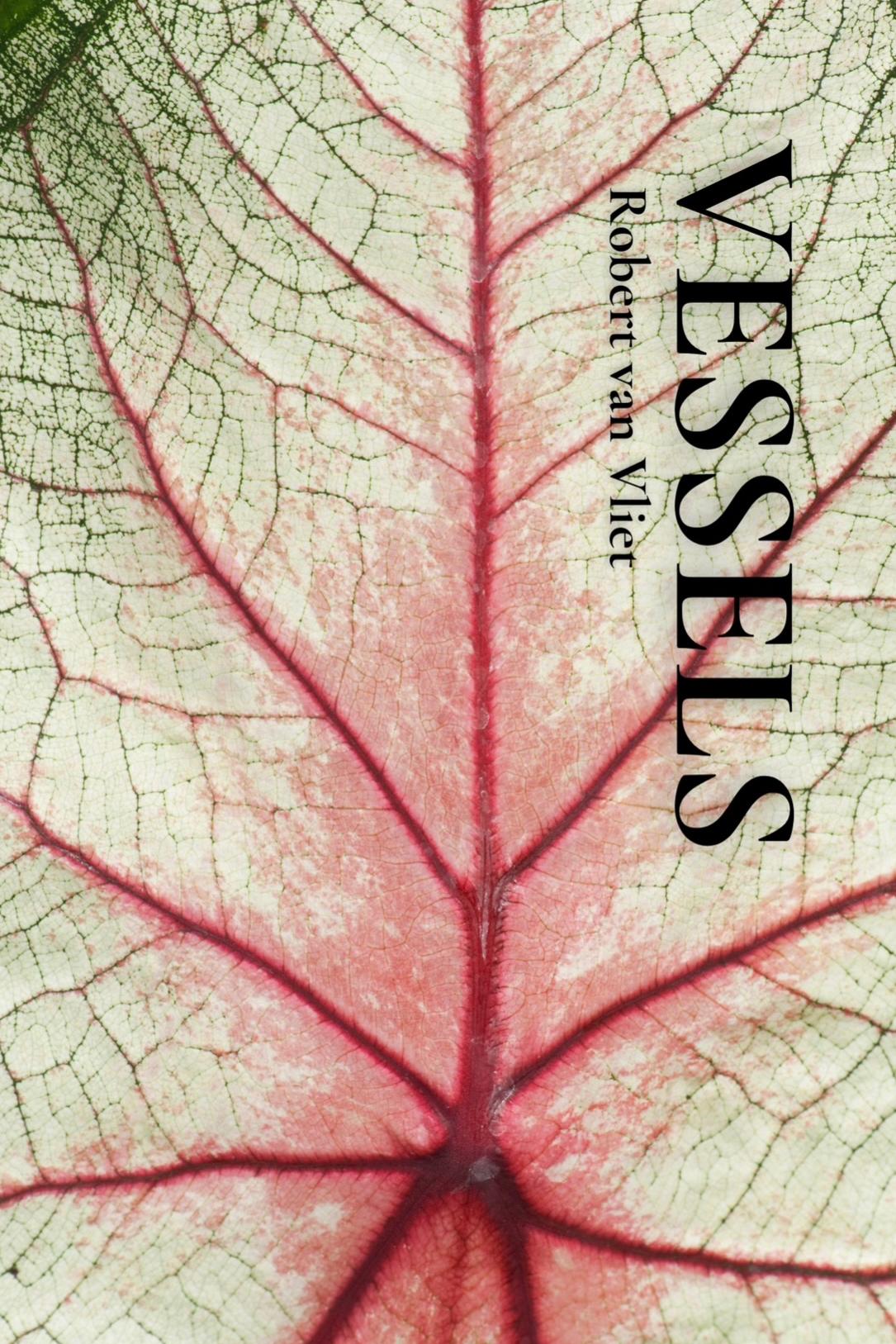 Book cover of Vessels by Robert van Vliet
