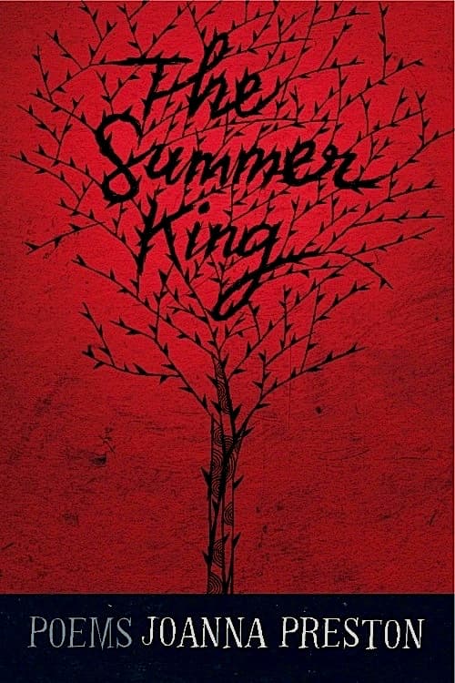 Book cover of The Summer King by Joanna Preston
