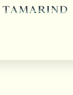 Tamarind: a literary magazine latest issue