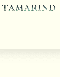 Tamarind: a literary magazine latest issue