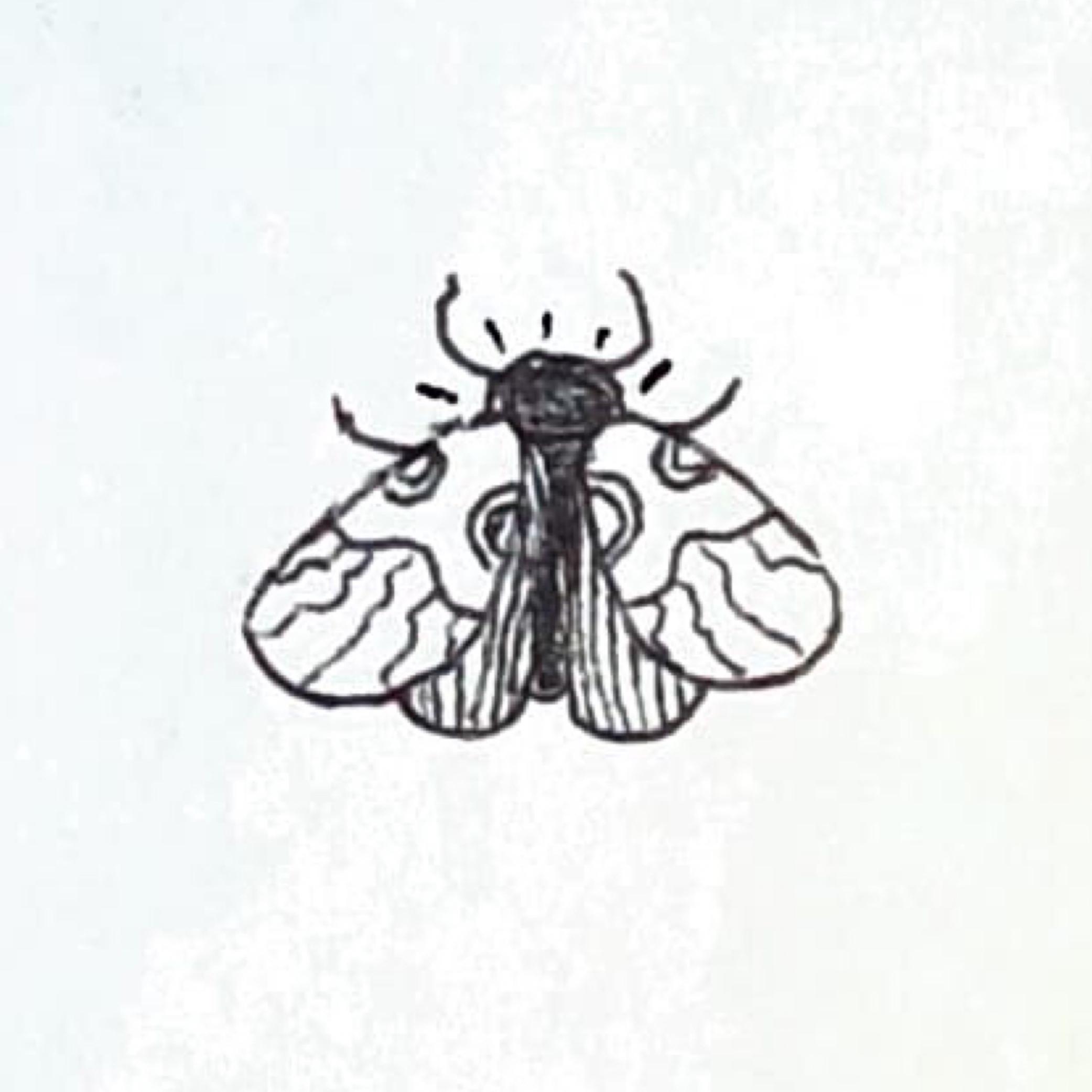 Beckett Schneider avatar