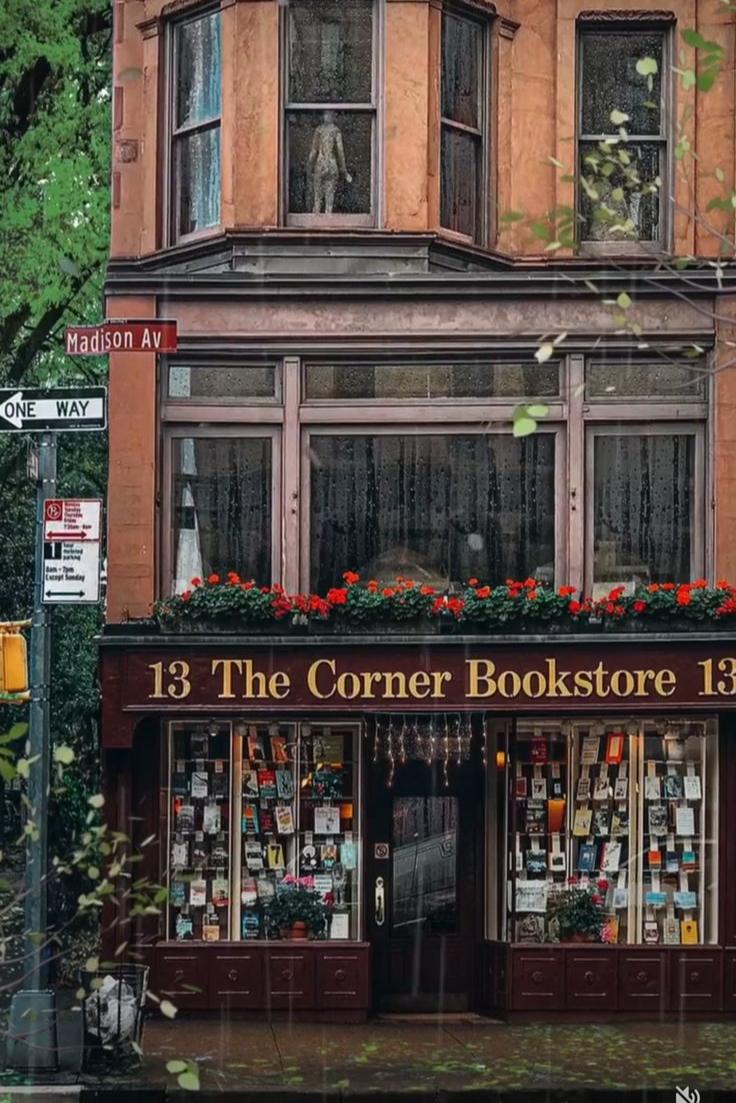 Book cover of THE BOOKSTORE  by Ayesha