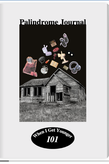 Palindrome Journal latest issue