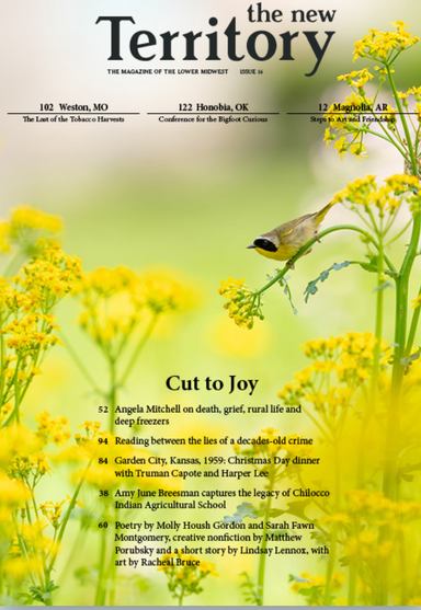 The New Territory latest issue