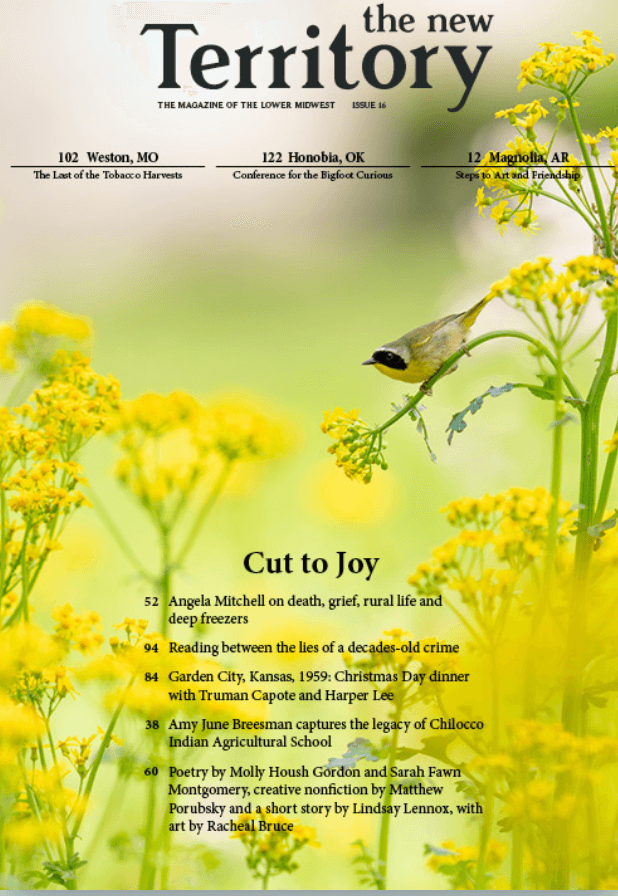 The New Territory latest issue