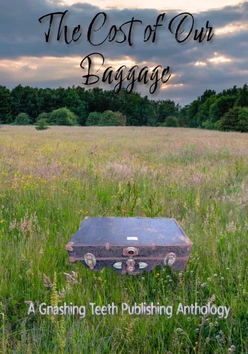 Book cover of The Cost of Our Baggage by Ifrah Yousuf