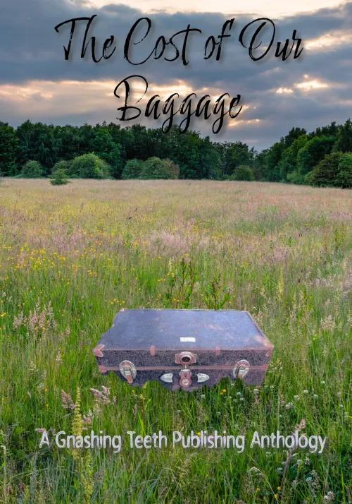 Book cover of The Cost of Our Baggage by Ifrah Yousuf