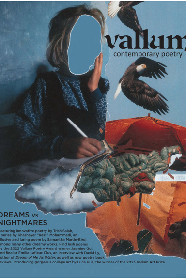 Vallum latest issue