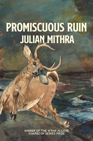 Book cover of Promiscuous Ruin by cruelembroidery
