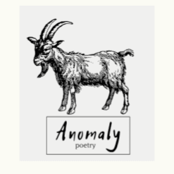Cover of Anomaly