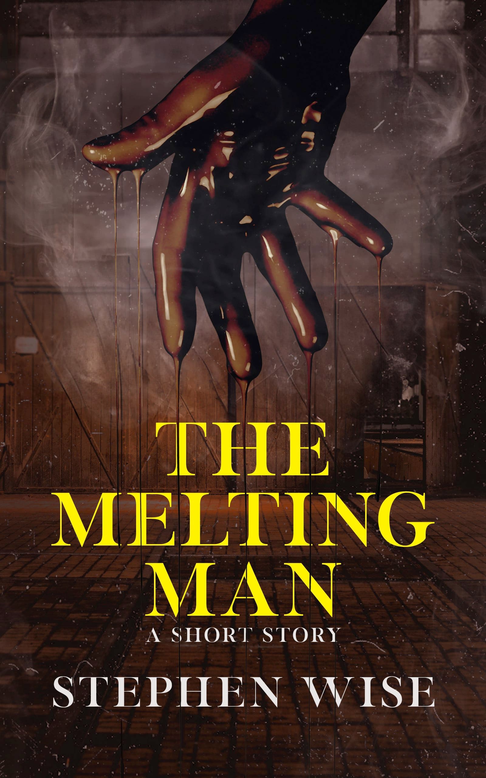 Book cover of The Melting Man by Stephen Wise