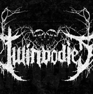 twinbodies avatar