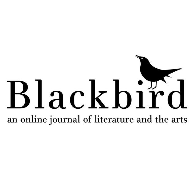 Blackbird avatar