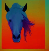 Cover of High Horse