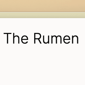 Cover of The Rumen