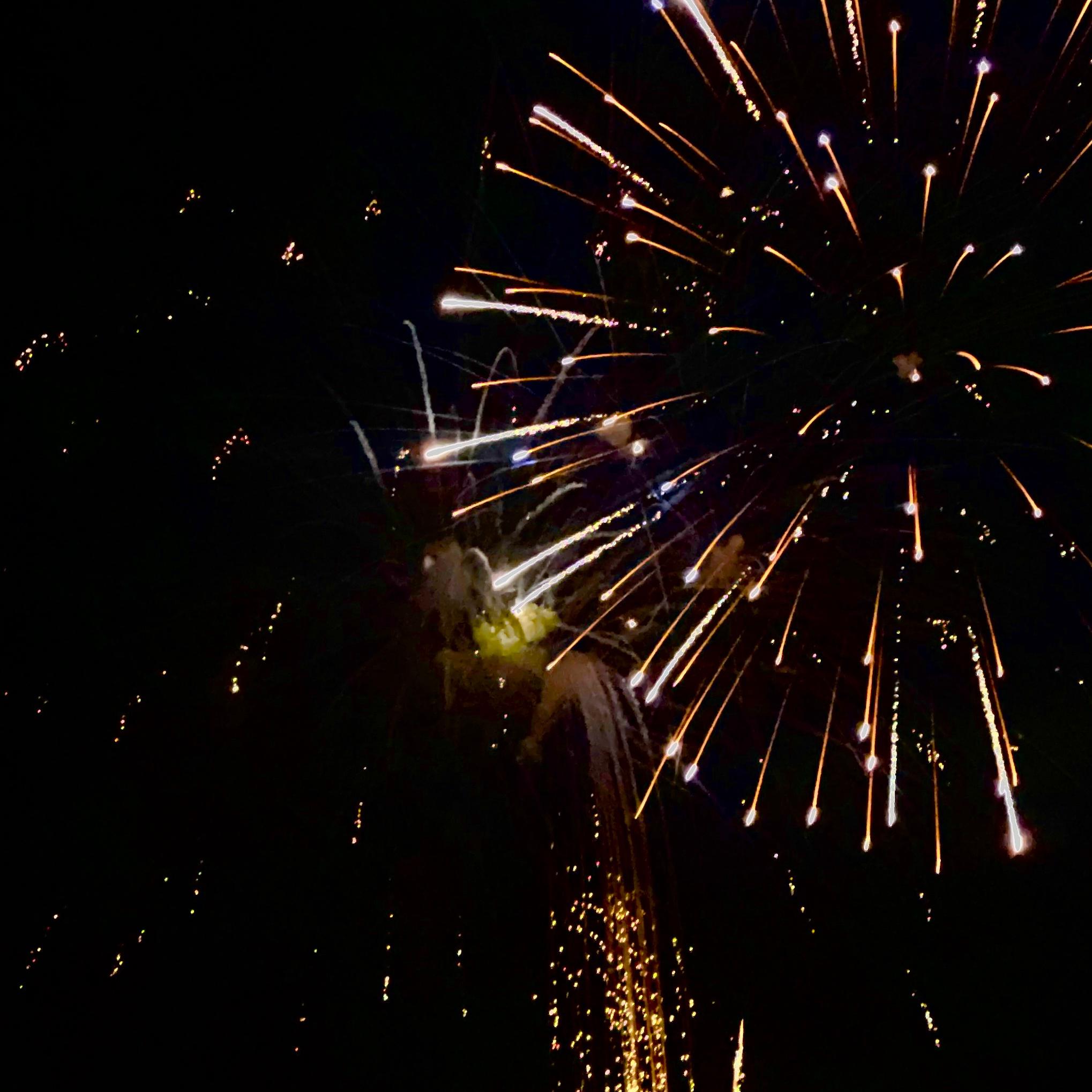 Cover of Fireworks