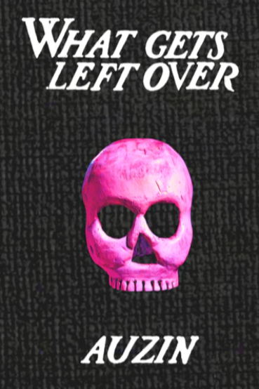 Book cover of What Gets Left Over by Auzin 
