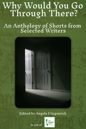 Book cover of Why Would You Go Through There? by angelaf