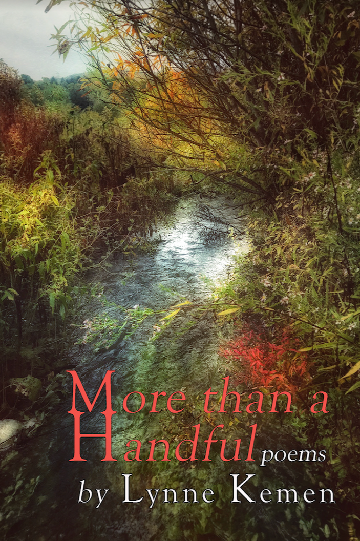 Book cover of More Than a Handful by lynnekemen