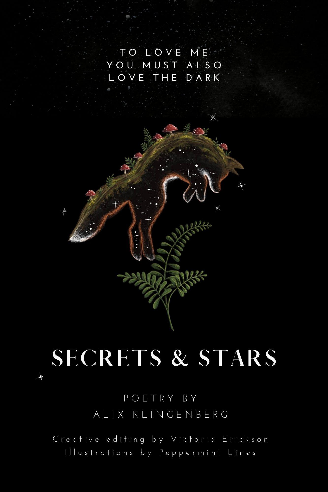 Book cover of Secrets & Stars by Alix Klingenberg