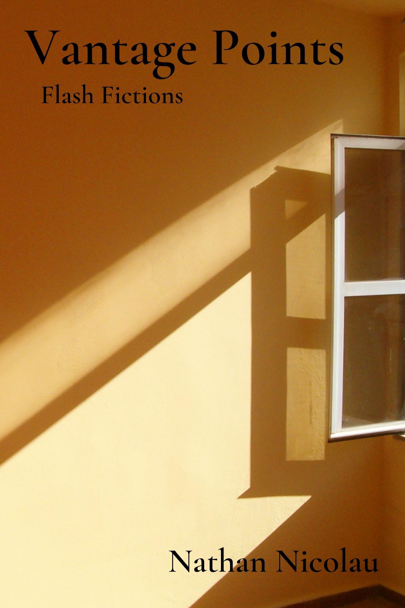 Book cover of Vantage Points: Flash Fictions by NathanNicolau
