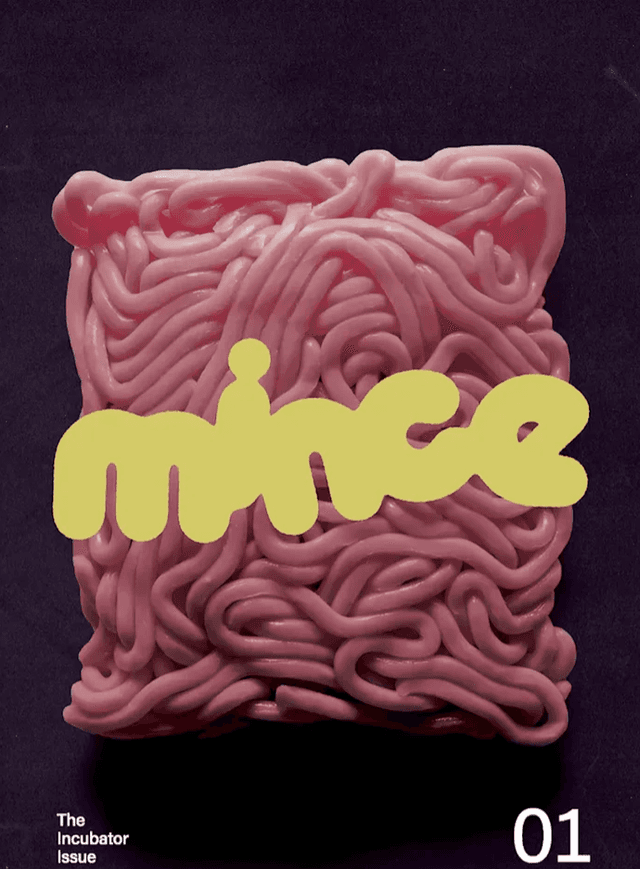 Mince latest issue