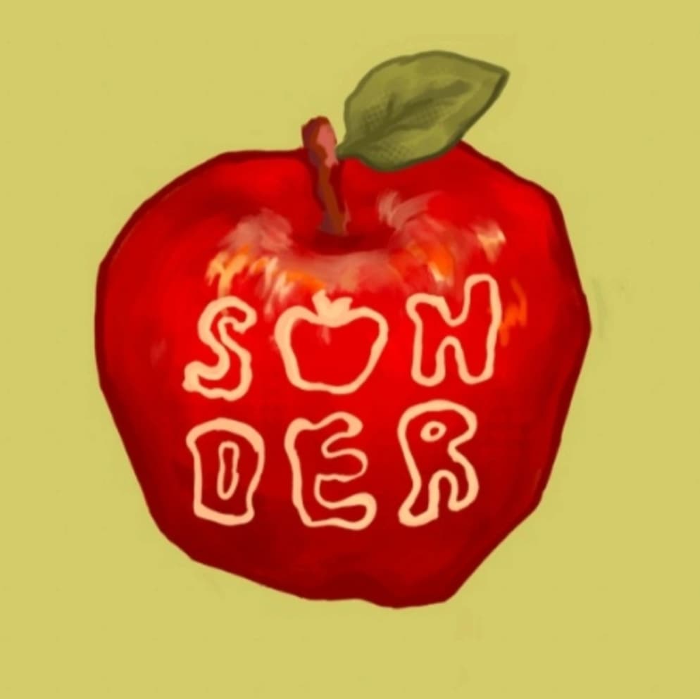 Cover of Sonder Literary