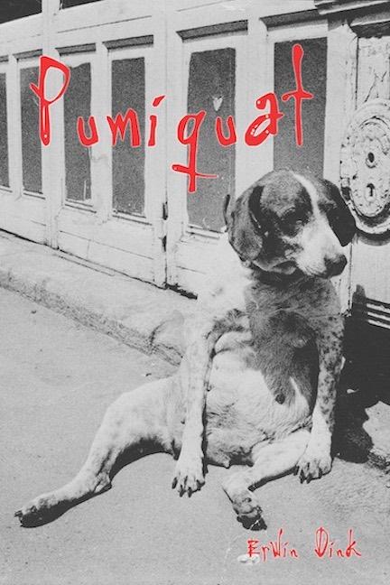 Book cover of Pumiquat by Eric Jennings