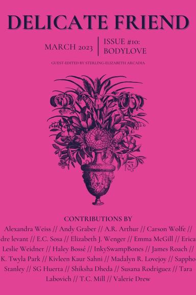 Delicate Friend latest issue