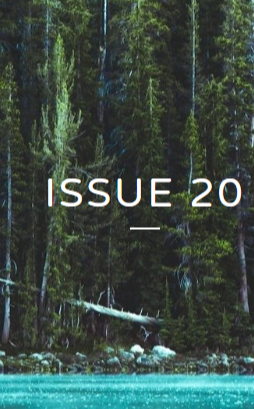 Split Rock Review latest issue