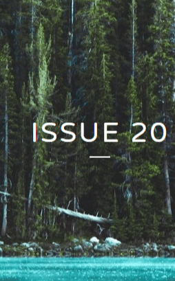 Split Rock Review latest issue