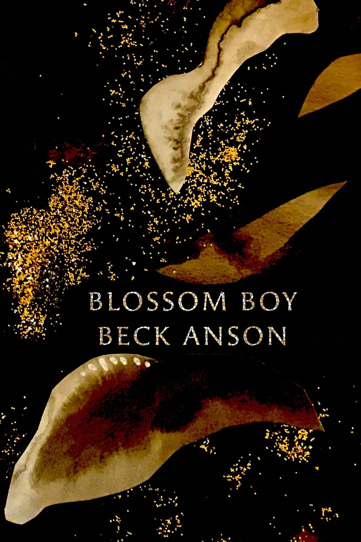 Book cover of Blossom Boy by Beck Anson