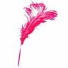 Funny Pearls: Humour by Women logo