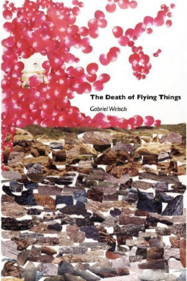 Book cover of The Death of Flying Things  by gabrielwelsch