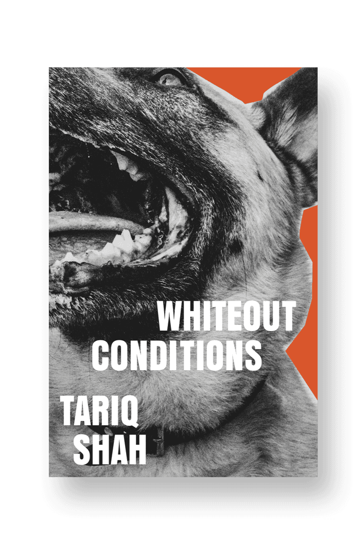 Book cover of whiteout conditions (uk) by tariq shah