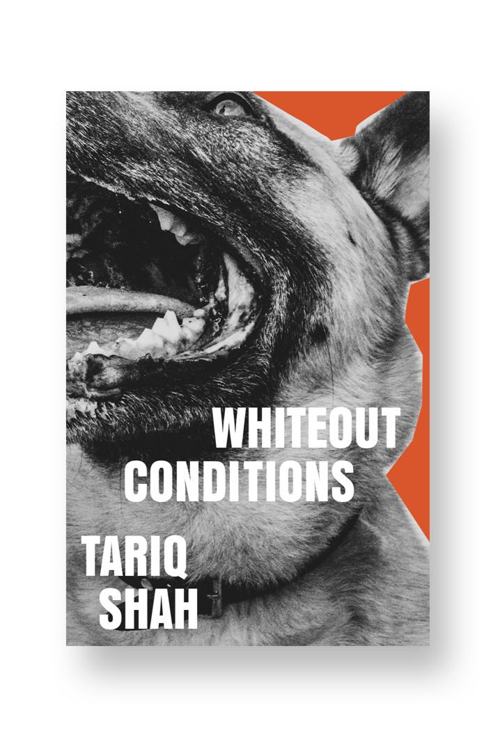 Book cover of whiteout conditions (uk) by tariq shah