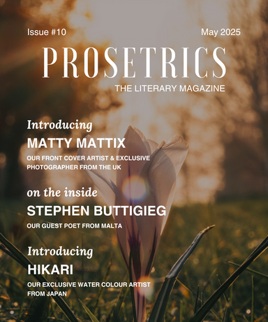 Prosetrics The Literary Magazine latest issue