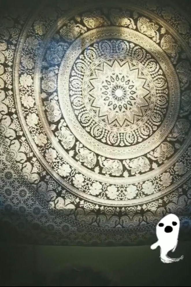 Book cover of Apparitions of You and Me by jessie caitlin bullard