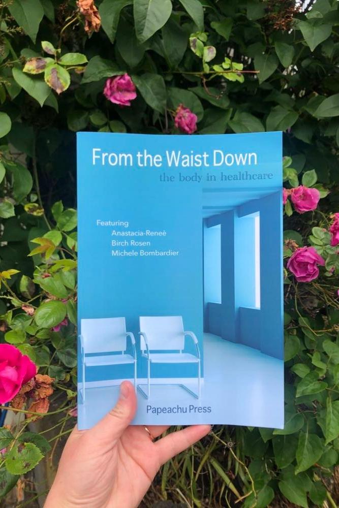 Book cover of From the Waist Down: the body in healthcare by Lynne Ellis