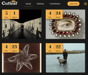 Cutleaf